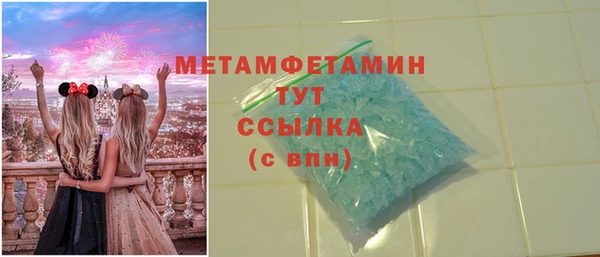 PSILOCYBIN Сясьстрой