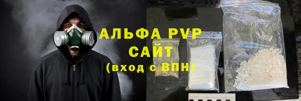 PSILOCYBIN Сясьстрой