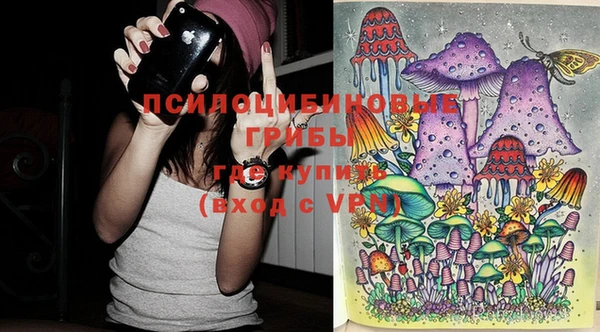 кокс Тайга